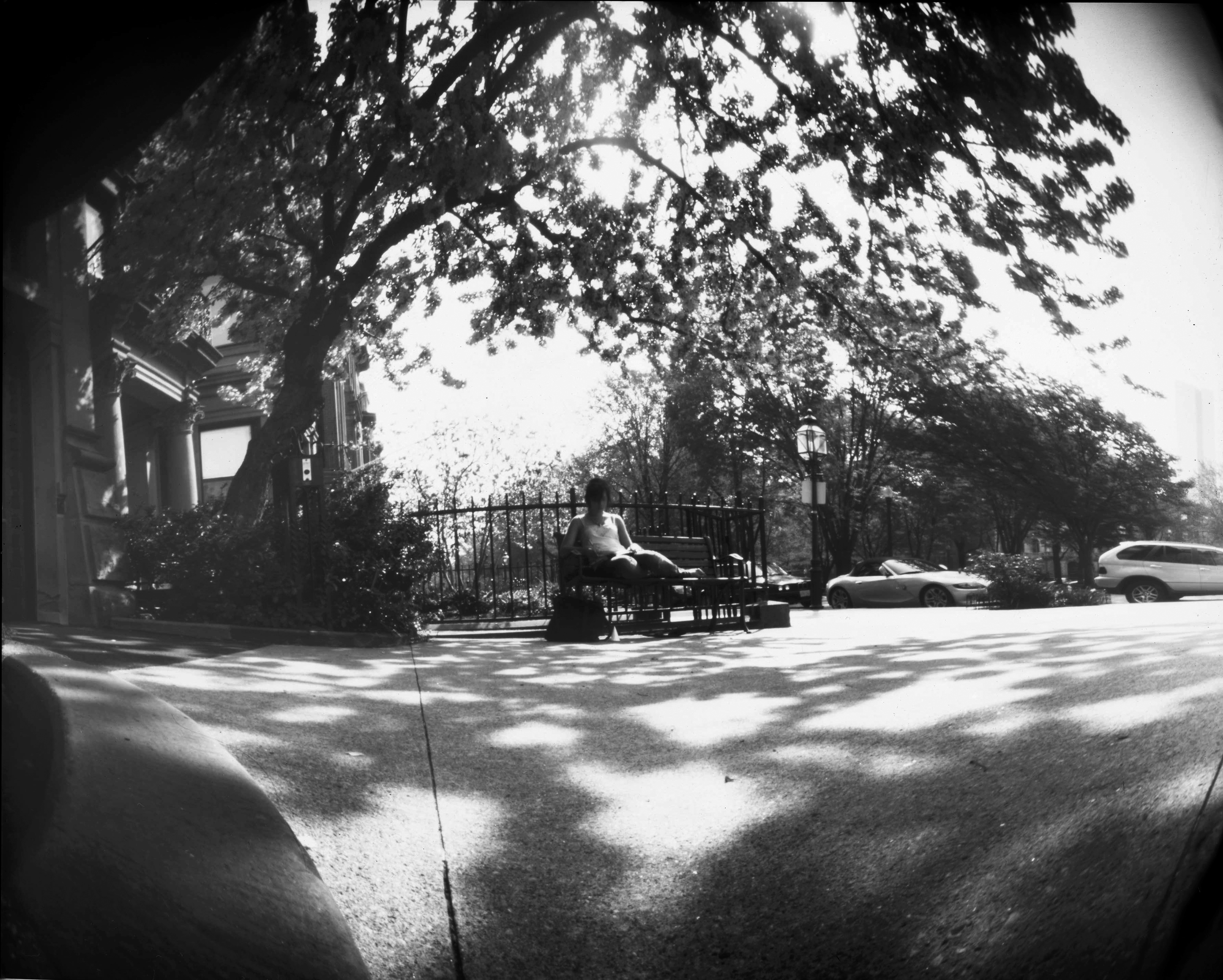 a black and white pinhole camera photograph with a large amount of curvature distortion except at the center of the image; a woman is sitting on a bench in the sun under a tree in front of a wrought iron face; there is a brownstone building’s entrance on the left and a street on the right with parked cars; there is a flowering cherry tree overhead casting dappled shadows on the concrete paved ground.